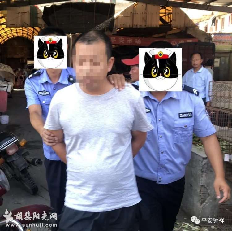 胡集派出所五天抓获三逃犯