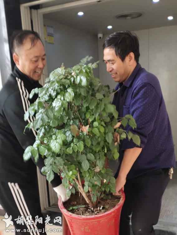 胡集雨化之家搬迁至民生广场