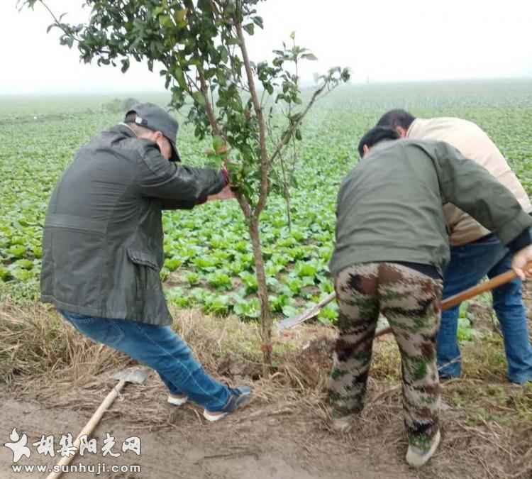 胡集网格“两员”积极参与组织“五清一改”环境大整治