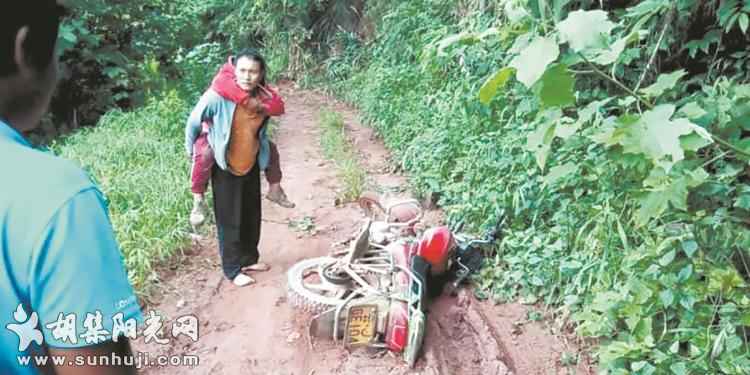 云南一家三口采茶途中遇野象袭击