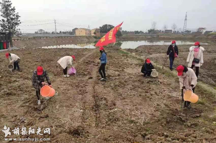 我为家乡添新绿” 巾帼助力乡村振兴胡集镇妇联开展新时代文明实践志愿服务活动 ...