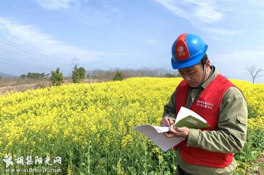 人机保电“双人组” 穿山越野巡线忙