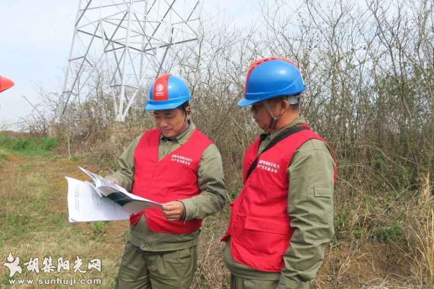 人机保电“双人组” 穿山越野巡线忙