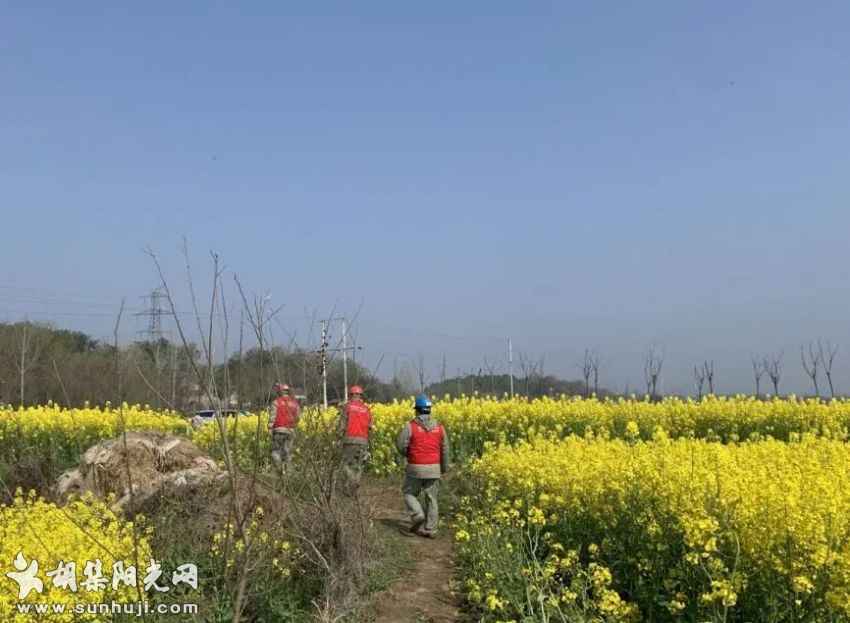 机关与基层结对 党员特巡保供电