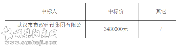 钟祥市胡集镇人居环境建设项目设计中标结果公告