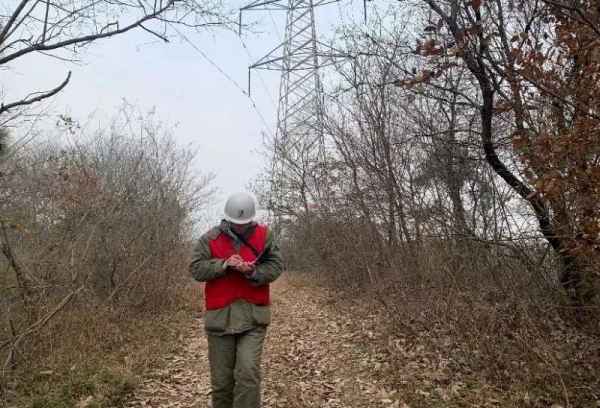 胡集供电人：寒潮特巡保供电 倾心护线度暖冬