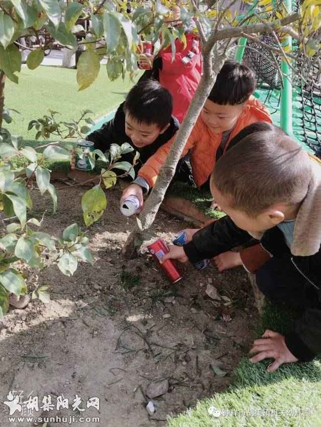 十年，致时光——胡集机关幼儿园“学前教育改革发展十年”掠影