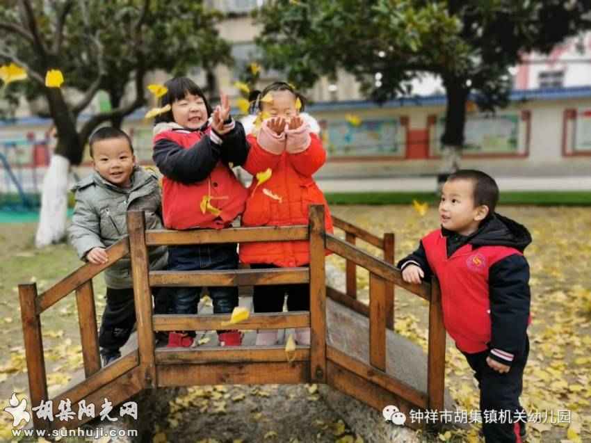 十年，致时光——胡集机关幼儿园“学前教育改革发展十年”掠影