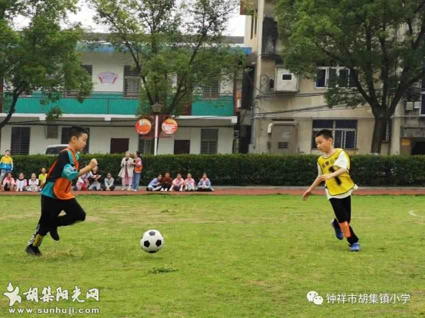 绿茵逐梦 · “足”够精彩——记胡集镇小学校园足球联赛