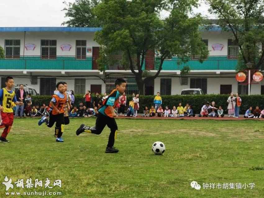 绿茵逐梦 · “足”够精彩——记胡集镇小学校园足球联赛