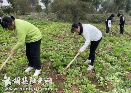 胡集三中：锄草劳动课堂学农技