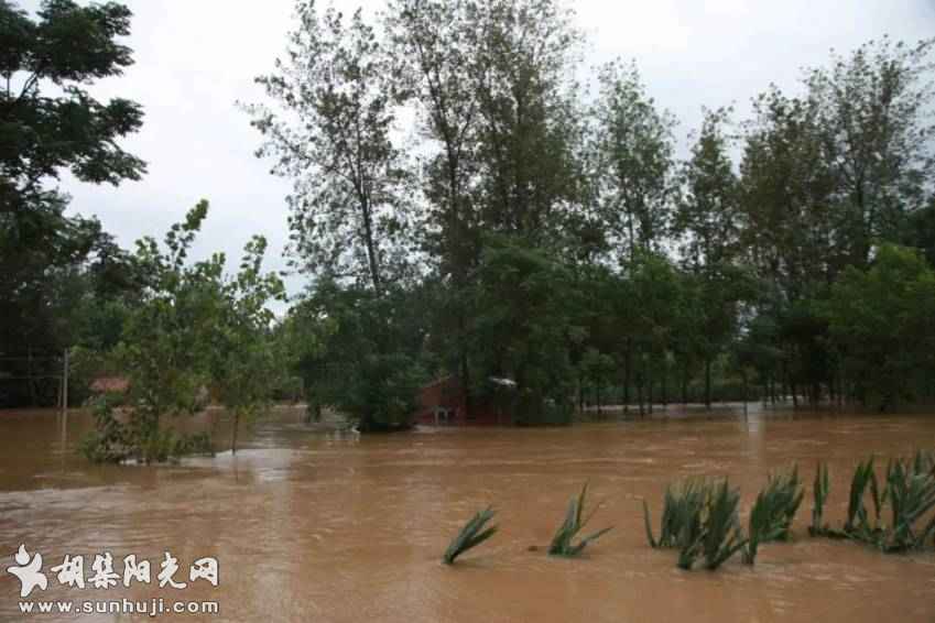 【战洪】风雨中的担当和坚守