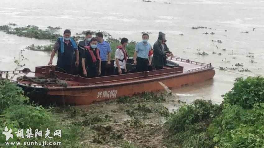 紧急！河水突涨，120头牛被困……