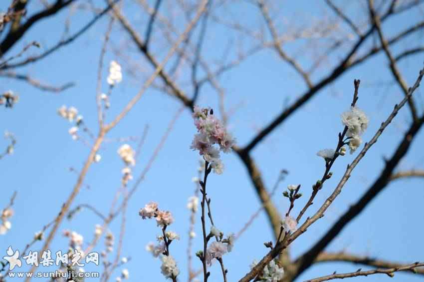 余生三愿：家人安康、岁月静好、初心不忘