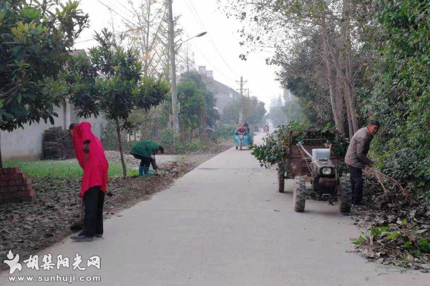 下集村：“积分制”激发“大能量”